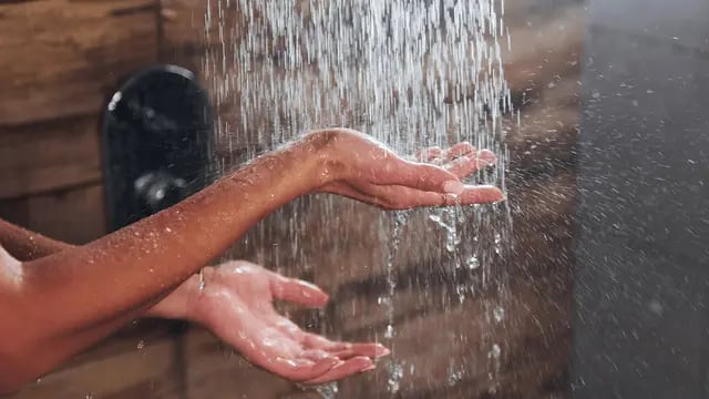 La Universidad de Harvard recomienda no bañarse todos los días: por qué y cuál es el impacto en la salud
