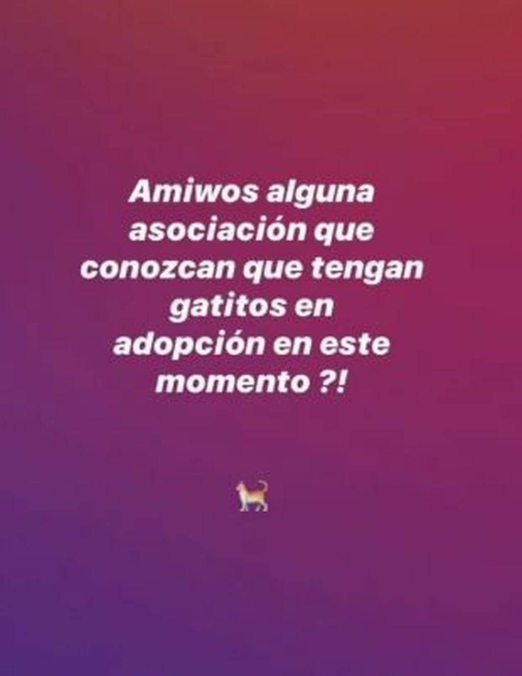 Con ganas de tener una mascota, Peña preguntó a la comunidad instagrammera dónde podía conseguir un gatito en adopción.
