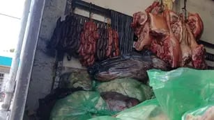 Decomisaron 1.500 kg de carne que transportaban en un camión sin refrigeración en Las Heras