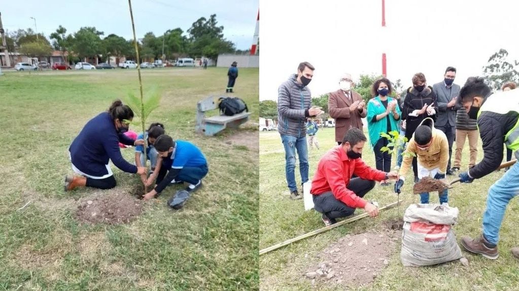 La propuesta ambiental consiste en llevar a la práctica proyectos ambientales en escuelas públicas del nivel primario y secundario de distintos puntos de la provincia de Jujuy.