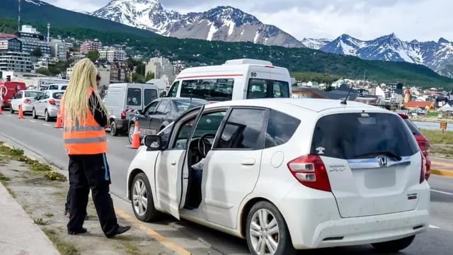 Ushuaia: controlan el transporte irregular