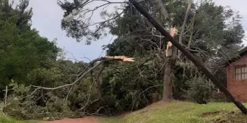 Importantes daños en el tendido eléctrico tras una fuerte tormenta en Montecarlo