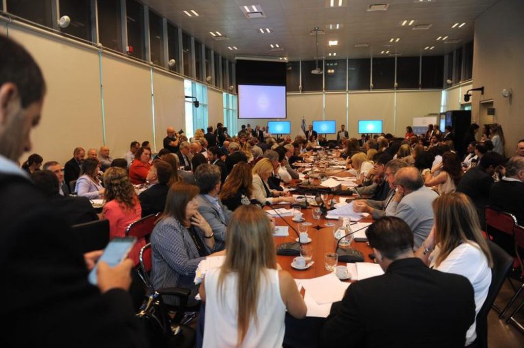 Se debaten en un plenario de comisiones las nueve emergencias que propuso el Gobierno de Alberto Fernández. (Foto: Federico López Claro)
