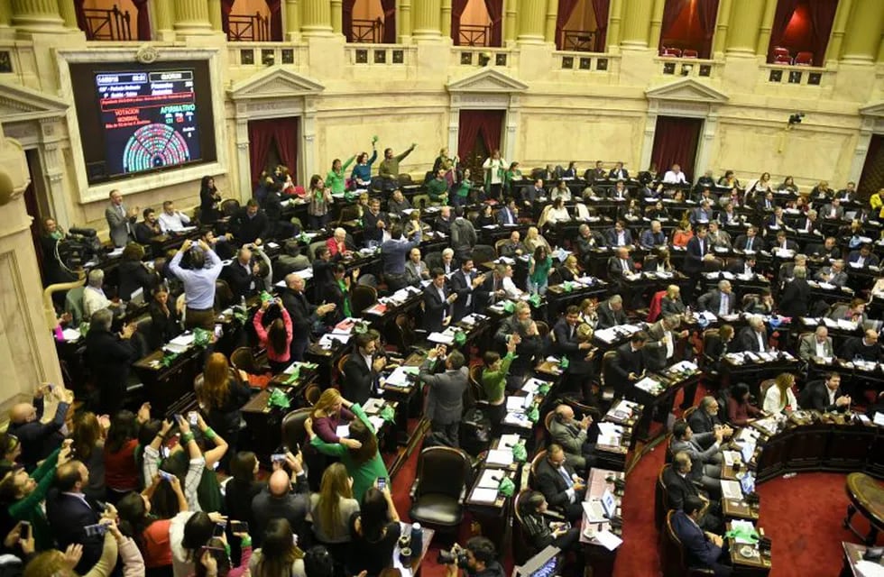 Los diputados del Parlamento argentino celebran el 14/06/2018 en Buenos Aires, Argentina, el resultado de la votación en el debate