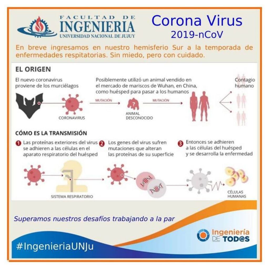 Infografía provista por la Facultad de Ingeniería de la UNJu, sobre el coronavirus.