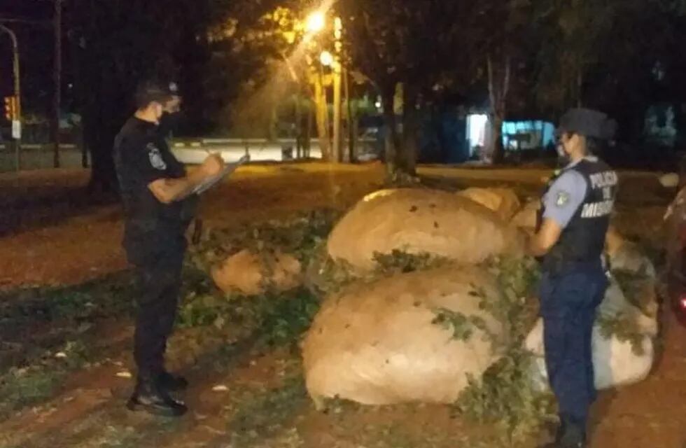 La policía recuperó 10 raídos de hojas de yerba mate robabas