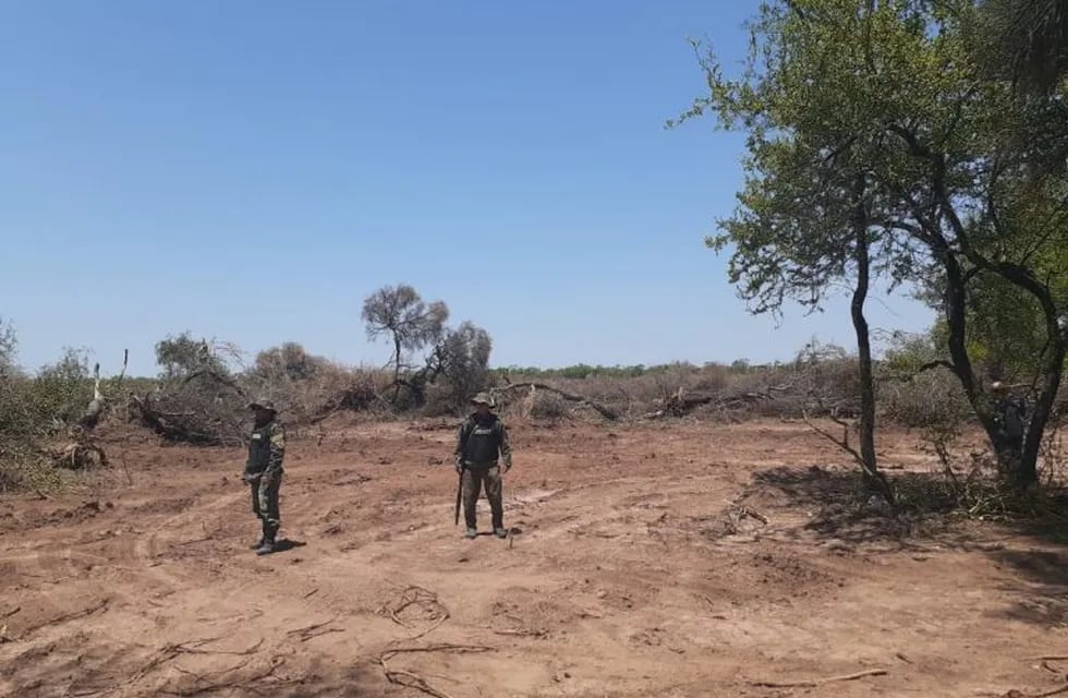Desmonte ilegal en Chaco: descubrieron topadoras que arrasaron con 750 hectáreas en Los Frentones