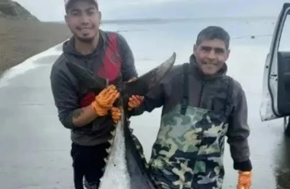 Los pescadores de Río Gallegos encontraron un atún de más de 250 kilos.