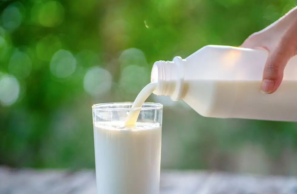 El día de la leche: la receta perfecta para celebrarlo