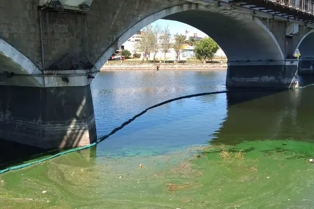 Colocaron redes en los puentes de Carlos Paz para contener las algas y la basura que termina en el lago San Roque.