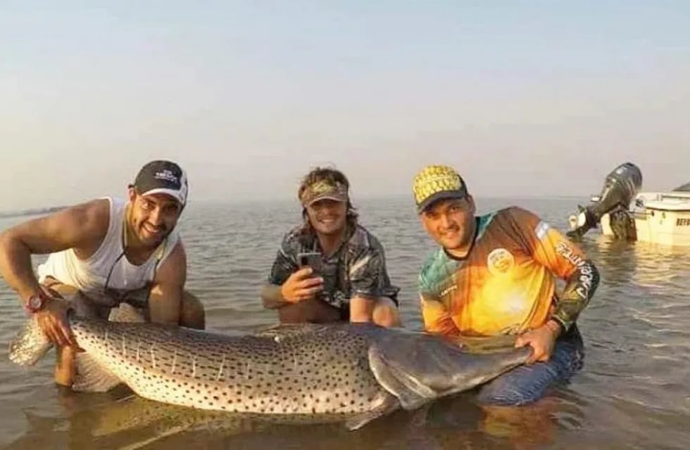 Pescaron un surubí de 70 kilos en Paso de la Patria.