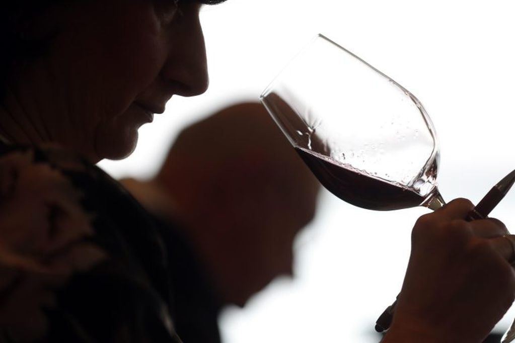 ¿Ya conocías todas las palabras para describir al vino? (Foto: EFE/ Zurab Kurtsikidze)