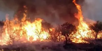 Incendio forestal en Alvear.