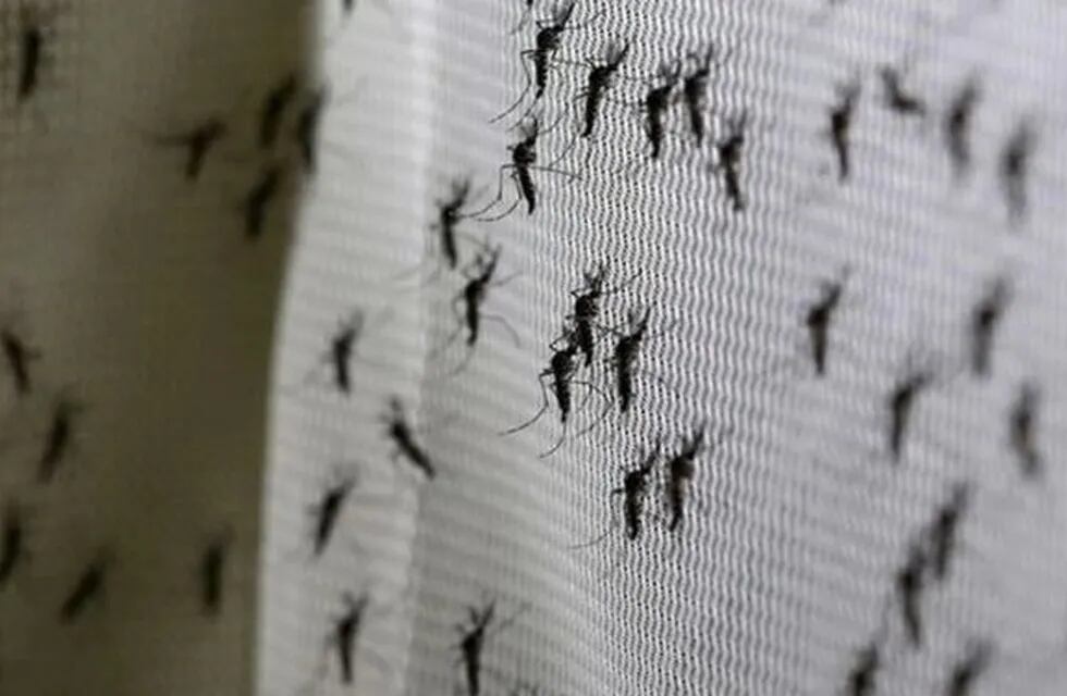 Dengue: realizaron acciones concientización y prevención en Lules.