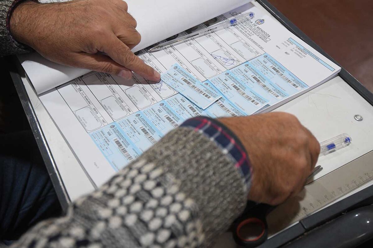 Elecciones en San Luis 2023: cerraron las escuelas y asistió el 70% del padrón Foto: José Gutierrez / Los Andes