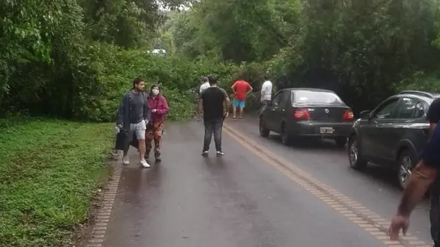 Temporal causó la caída de un árbol sobre la ruta 101 camino al aeropuerto de Puerto Iguazú