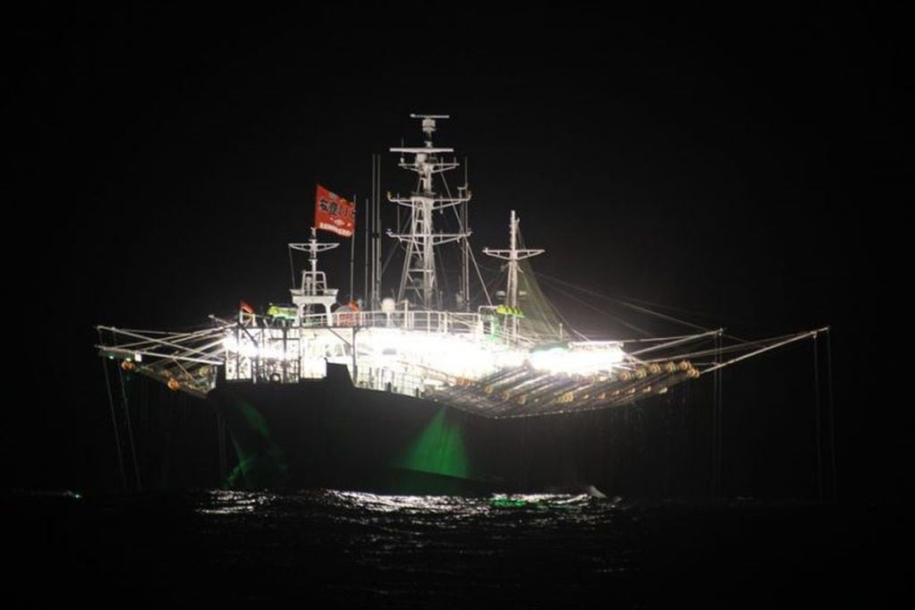 La flota Taiwanesa pesca en Malvinas con autorización de las autoridades isleñas.