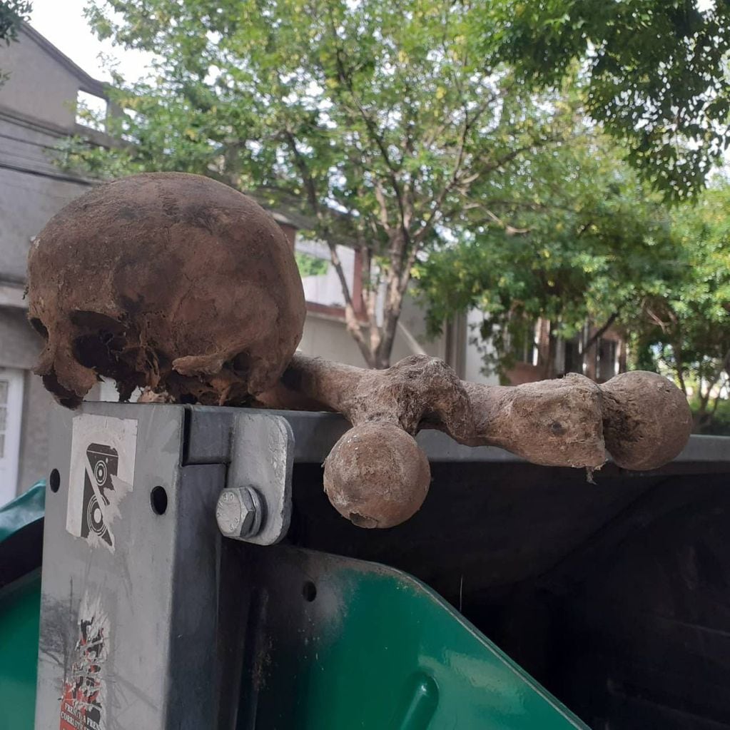Tiraron un cráneo y huesos humanos en un contenedor de basura de Riobamba al 1500, en el barrio del Abasto en Rosario.