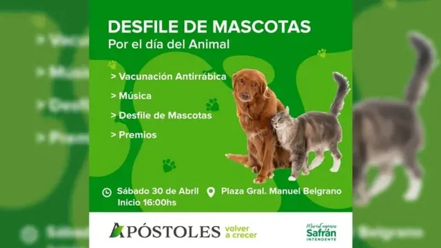 Por el Día del Animal, organizan desfile de mascotas en Apóstoles