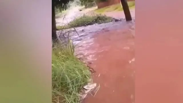 Se registraron inundaciones en zonas costeras tras las abundantes lluvias en Misiones