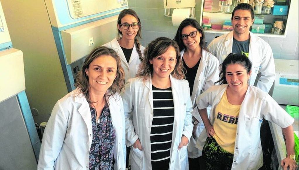 El equipo de investigación está conformado por los doctores Cecilia Pérez Brandán, Cecilia Parodi, Leonardo Acuña, Andrea Mesías, la bioquímica Elisa Vázquez Ovejero y la estudiante Brenda Zabala. (Web)