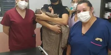 Wanda: abandonaron a un bebé de tres meses en la vía pública