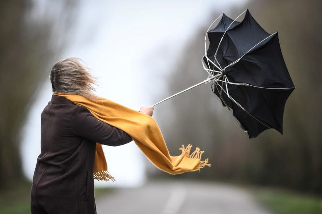 Los fuertes vientos que provocó Ciara en Bélgica.(DPA).