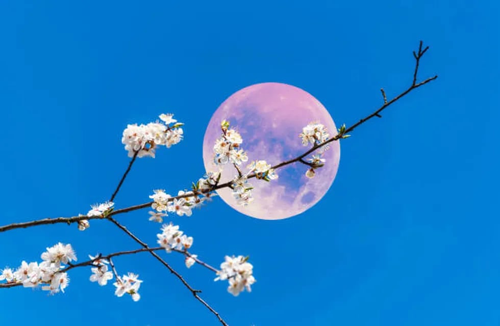 Cuándo sucederá la magia de la Luna Rosa y qué rituales hacer para atraer el amor