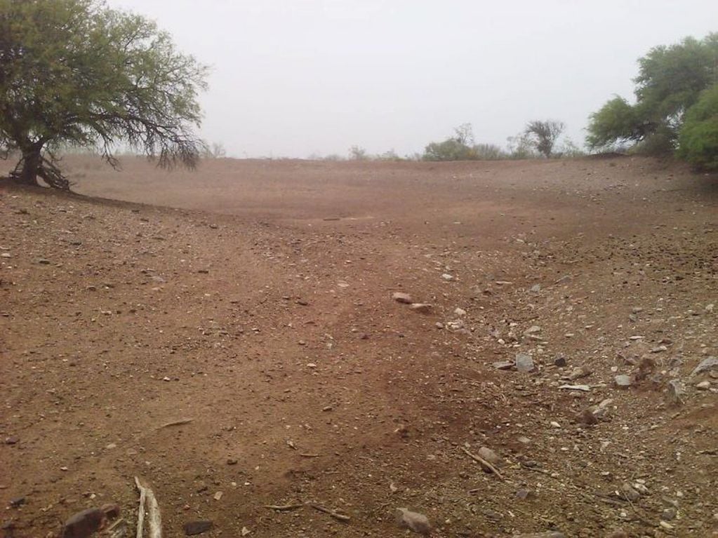 Los parajes de Santa Rita y El Valle en San Luis, no tienen agua.