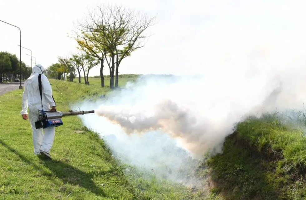 Siguen las fumigaciones para evitar mosquitos (Prensa Municipalidad de Rafaela)