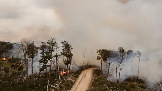 Prohibido hacer fuego