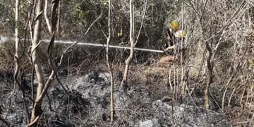 Bomberos voluntarios de Puerto Iguazú sofocan incendio en las 2.000 Hectáreas