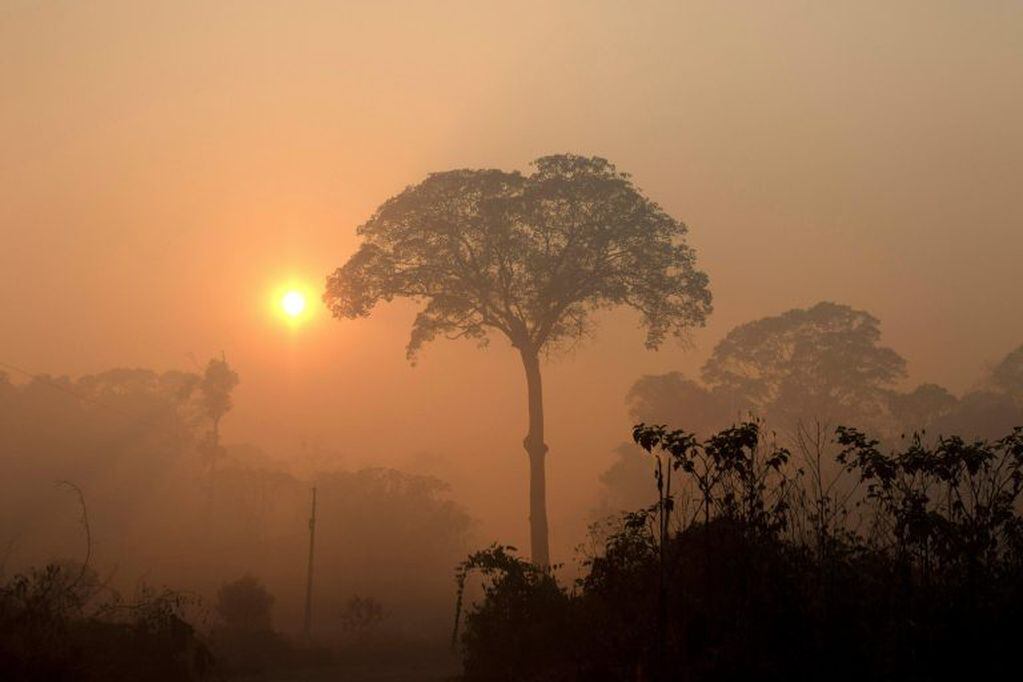 Así amanecía Porto Velho en agosto pasado. capital del estado de Rondonia sufrió el humo de los incendios. (EFE).