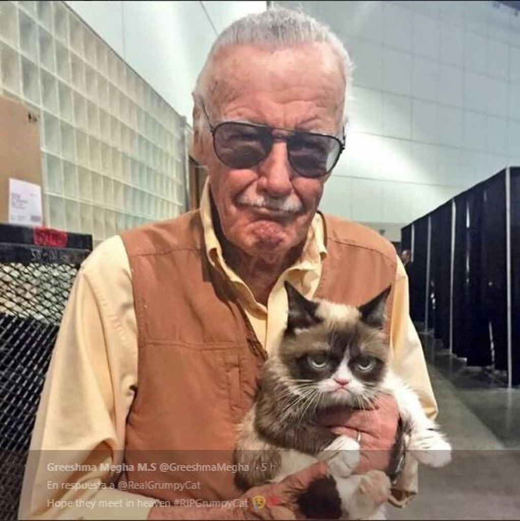 "Saluda a Stan Lee por nosotros en el cielo. Te extrañaremos mucho", despidió una usuaria a Grumpy Cat en Twitter.