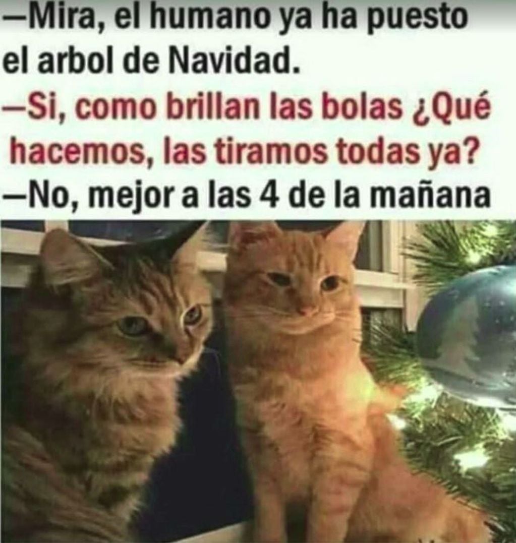 Meme de Navidad.