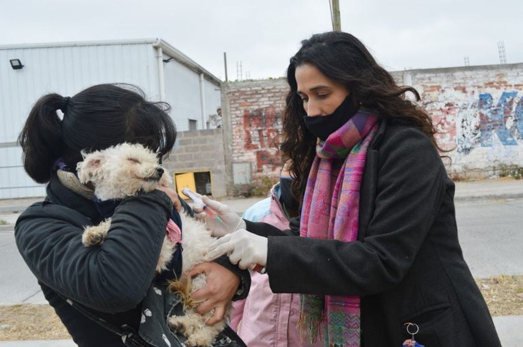 Las jornadas de vacunación en los barrios se suspenden durante esta semana (Municipalidad de Salta)