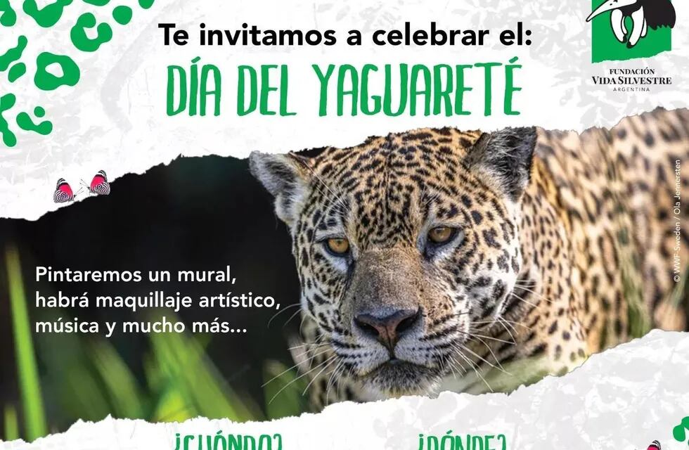 El 25 se conmemora el Día Internacional y Provincial del Yaguareté en Iguazú