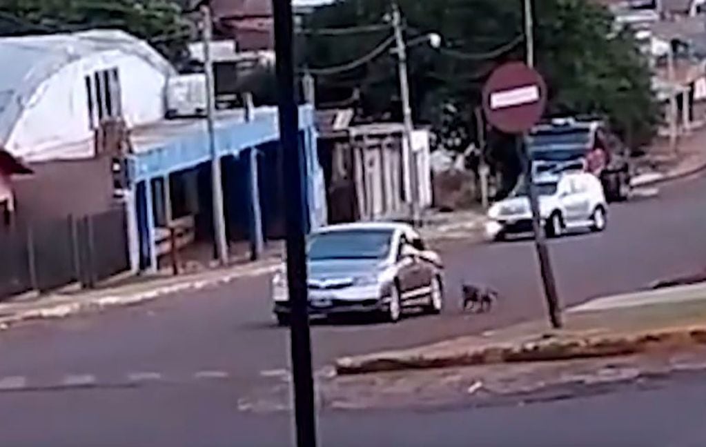 IMÁGENES SENSIBLES| Rescatan a un pitbull que era arrastrado desde un  auto en movimiento en Dos de Mayo.