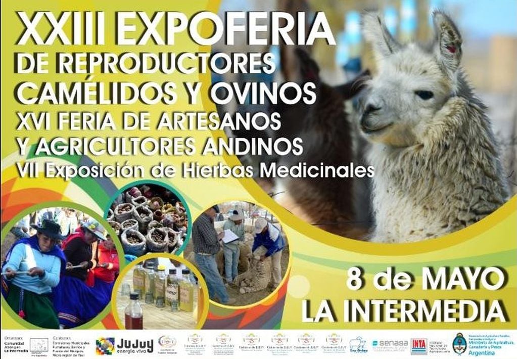 Pieza gráfica que anuncia una nueva edición de la Expo Feria de Camélidos y Ovinos en La Intermedia, Yavi.