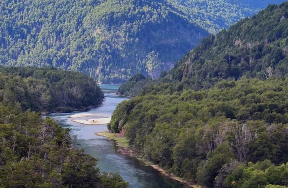 Científicos reconstruyen 600 años de patrones climáticos en Sudamérica gracias a la información contenida en los anillos de crecimiento de los árboles.