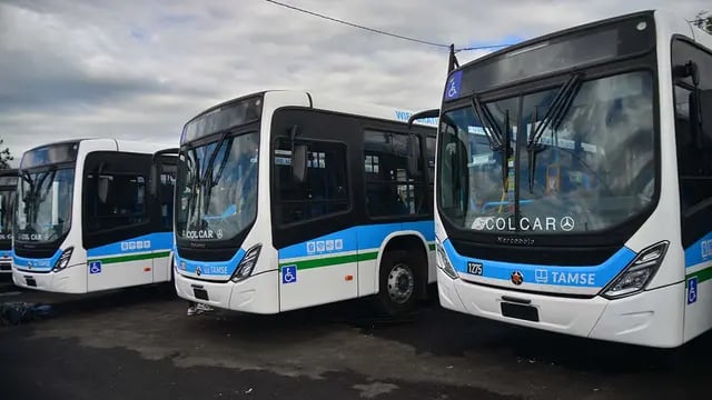 Presentación de las 50 nuevas unidades