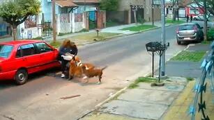 Entre tres perros atacaron a la mujer. (Captura de video)