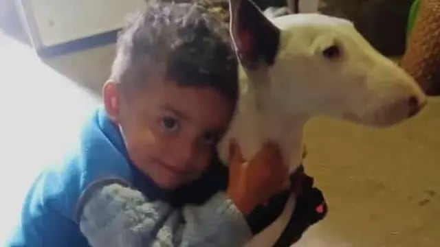 Un niño de Pérez perdió un perro