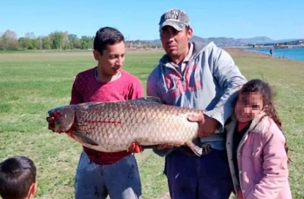 La carpa gigante atrapada en el Lago San Roque (Gentileza el Diario de Carlos Paz).