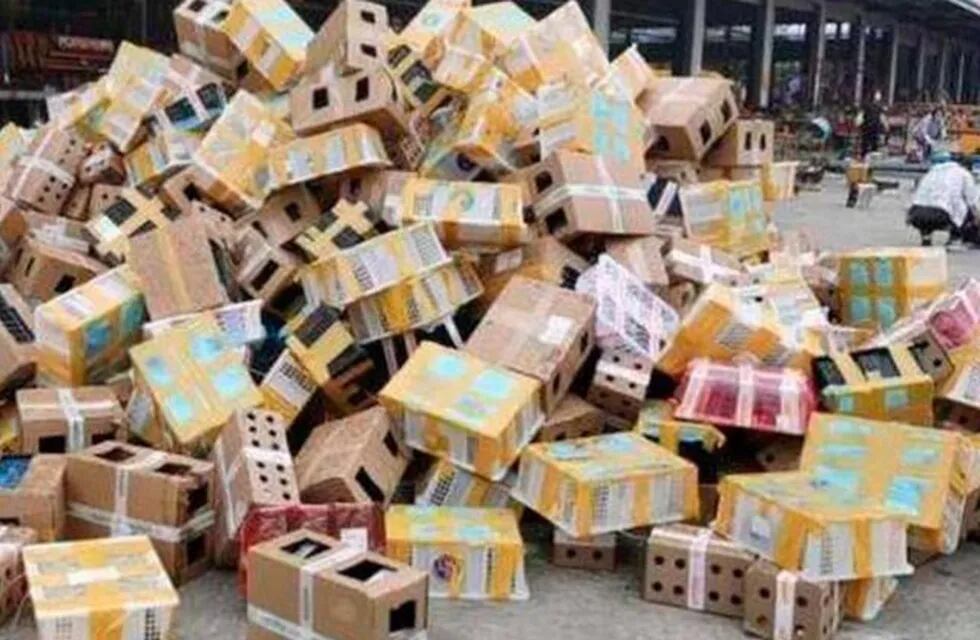 Encontraron 4 mil mascotas muertas y embaladas en un depósito de China (Foto: Utopía)