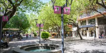 Concurso de Ornamentación "Octubre Rosa en Mendoza"