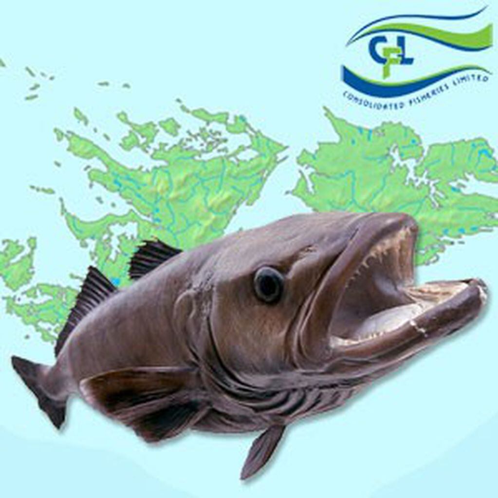 Los EMV se ven afectados por la pesca de la merluza negra.