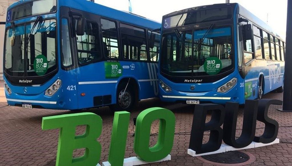 Biobus: la provincia propone que todo el transporte público utilice biodiesel
