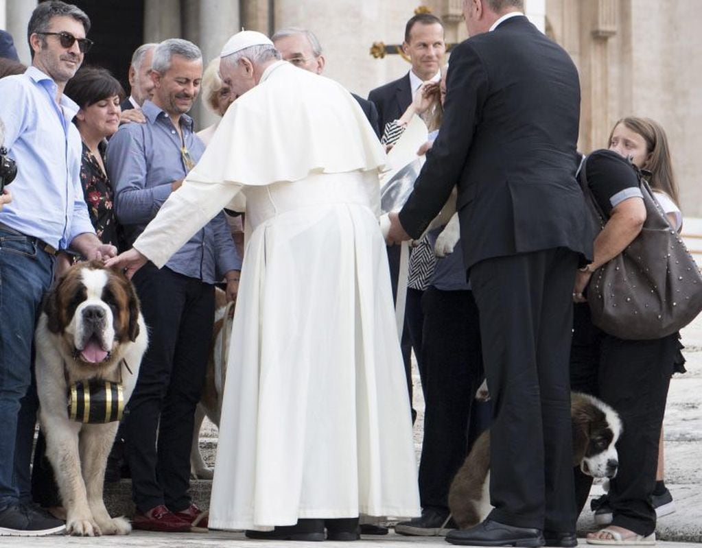 El papa Francisco acaricia a un perro durante su tradicional audiencia general celebrada en la Plaza de San Pedro, en la Ciudad del Vaticano. Crédito: EFE/ Maurizio Brambatti.