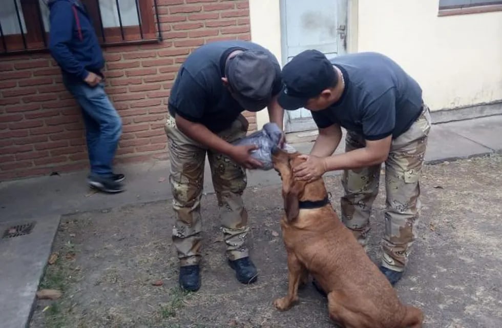 Desesperada búsqueda de, Vicente Choque, el abuelo que desapareció hace un mes. (Policía de Salta)